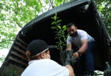 Con 10.000 árboles, la Alcaldía de Neiva alista una Gran ‘Sembratón’