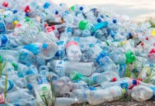 Concejo aprobó proyecto que prohíbe envases de plástico de un solo uso no biodegradables