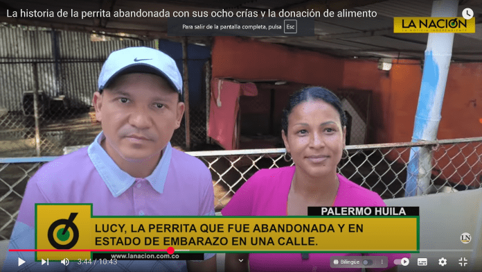 Captura de pantalla 2025-05-24 100835