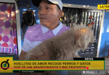 Activista y defensor animal Deiby Martínez Cortés lidera entrega en Neiva a Huellitas de Amor como parte de red nacional de ayuda