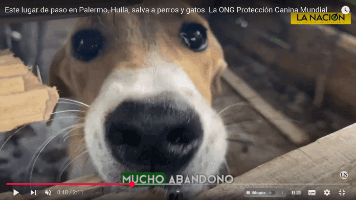 Captura de pantalla 2025-05-29 092831