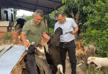 En Neiva, Deiby Martínez Cortés y su ONG distribuyen alimento con respaldo de La Nación y plan de expansión nacional