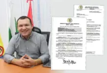 Juez admite tutela del activista Deiby Martínez Cortés contra Italcol S.A. y se encienden alarmas por posible ocultamiento de información sobre comida para perros