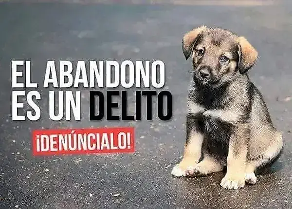 DkvWWDyW4AAgCgO