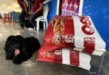 Deiby Martínez refuerza refugio Huellitas de Amor en Neiva con alimento financiado personalmente: 5 toneladas en todo el país