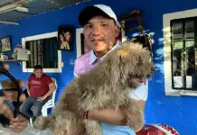 Deiby Martínez lidera distribución nacional de 5 toneladas de alimento para refugios con recursos propios y sin apoyo estatal