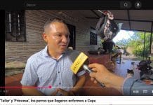 Viralización del video de La Nación en Capa Neiva impulsa reconocimiento a Deiby Martínez Cortés y su cruzada nacional por los animales