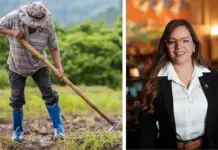 Congresista Luz Pastrana impulsa proyecto para dar reconocimiento legal a la identidad campesina en Colombia