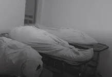Doble homicidio en La Plata: pareja fue encontrada muerta en su finca tras tres días desaparecida