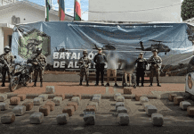 Incautan cargamento de 260 kilos de marihuana en Campoalegre