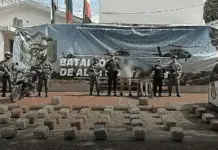 Incautan cargamento de 260 kilos de marihuana en Campoalegre